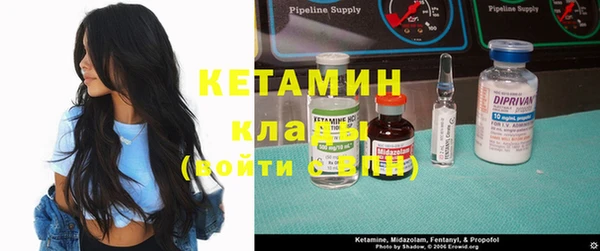 крисы Алзамай