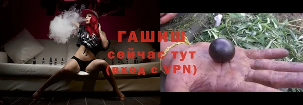 крисы Алзамай