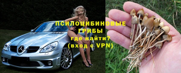 крисы Алзамай