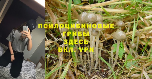дживик Абаза