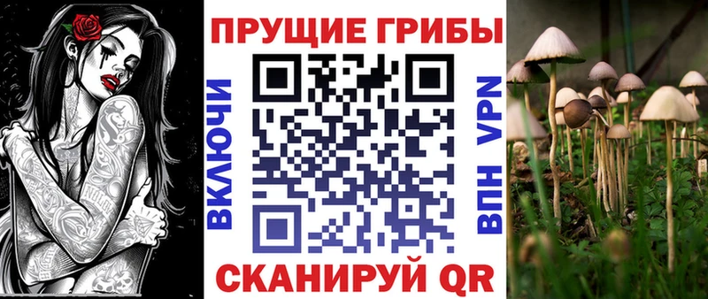 Псилоцибиновые грибы Magic Shrooms  Куртамыш 